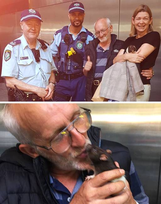 Sydney-ben egy hajléktalan férfi elvesztette a Lucy névre hallgató patkányát. Az egész város - beleértve a rendőrséget is – az állatot kereste, és végül meg lett!