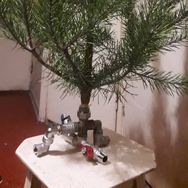 Amikor a férjet arra kérik, hogy állítsa fel a karácsonyfát.