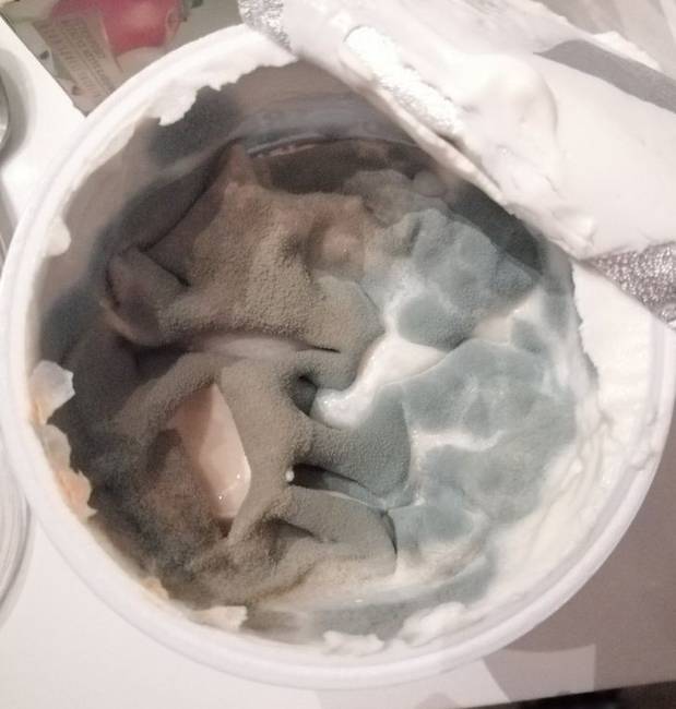 „Teljesen kiment a fejemből, hogy egy bontott joghurt van a hűtőmben, és ez történt vele."