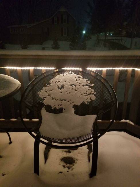 Ennek a széknek a háttámláján az olvadó hó úgy néz ki, mint egy fa.