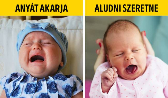 Kisbabák reakciói