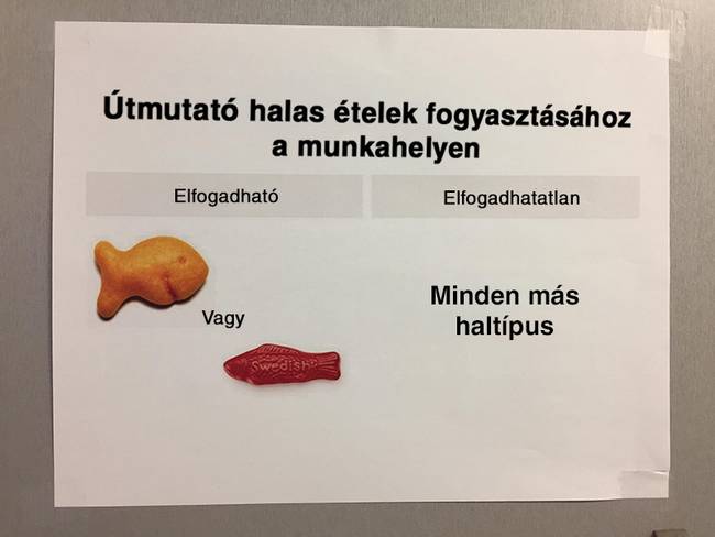 20+ íratlan szabály, amit ideje lenne végre törvénybe foglalnia valakinek