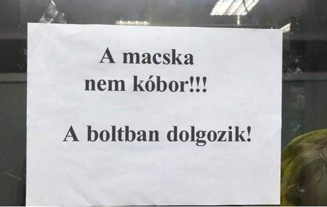 NAV ellenőr be like: "Aztán bejelentve be van-e?"