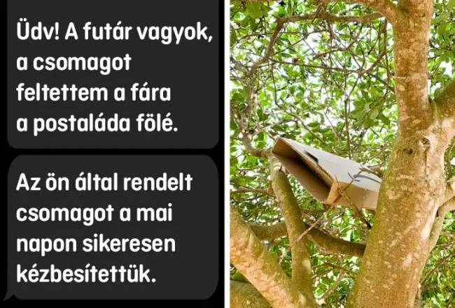 Nindzsa futárok 026