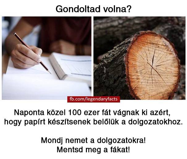20 vicces tény a világról, melyek akár igazak is lehetnének