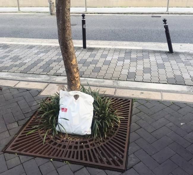„Véletlenül elejtettem az egyik szatyromat séta közben Oszakában, és amikor másnap visszamentem, hogy megkeressem, egy fa mellé volt rakva, érintetlenül.”