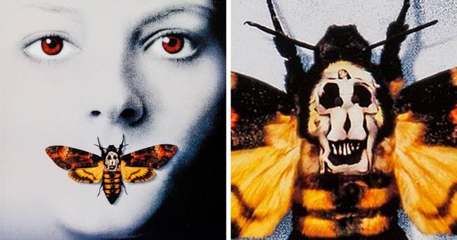A bárányok hallgatnak (1991) című film plakátján egy koponya is helyet kapott, mely valójában egy utalás Philippe Halsman fényképész Salvador Dali ötlete alapján készült képére.