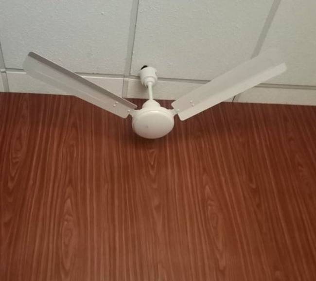 „Ezt az egyetemünk épületében találtam."