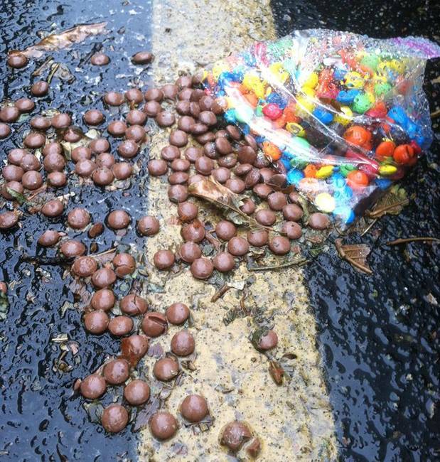 Az eső egyszerűen lemosta a festéket a zacskóból kiszóródott M&M's-ekről.