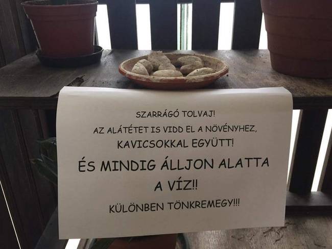 Ha csinálsz valamit, legalább csináld jól, Te f*sz!