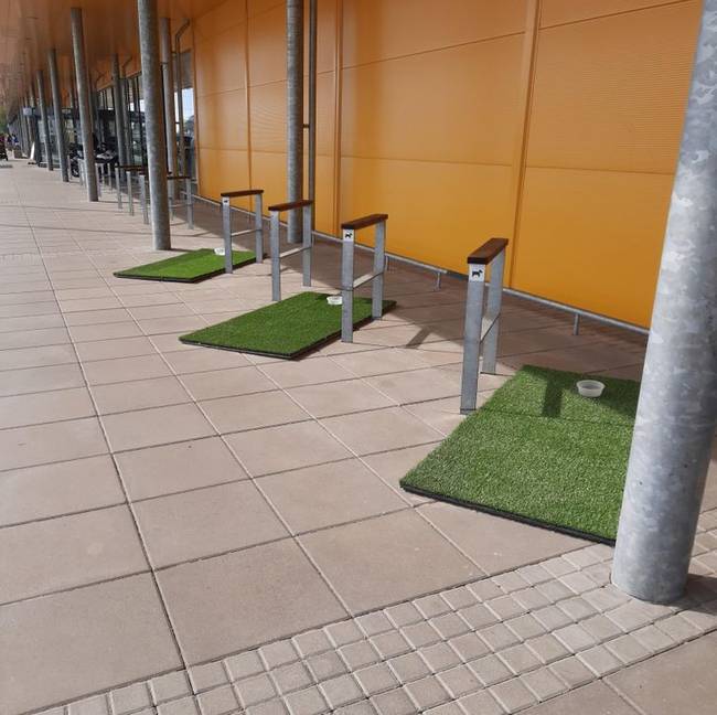 Lettországban az IKEA-k előtt van egy speciálisan kialakított terület, ahol otthagyhatod a kutyádat vásárlás közben.