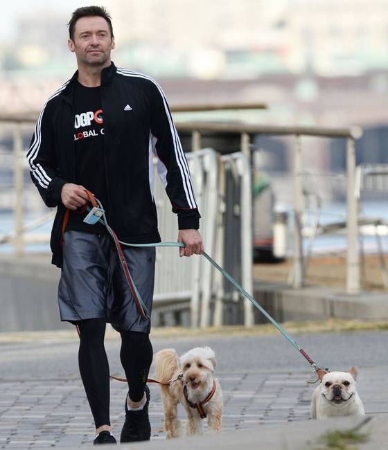 Hugh Jackman