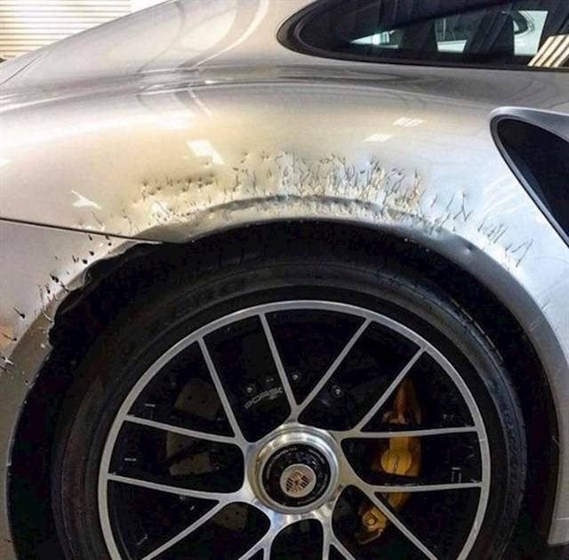 „A kutyám szerint nagyon finom az új Porsche-m."