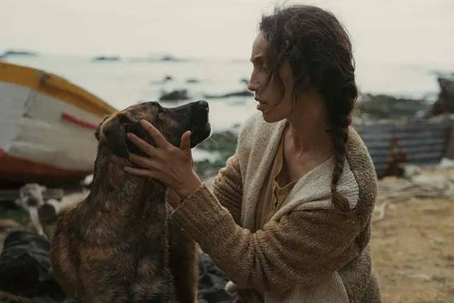 A kutyák saját Oscar-díja: a Palm Dog-díj nyertesei az elmúlt tíz évből