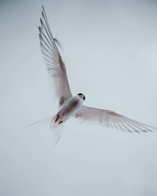 misha martin c DnfH3miG8 unsplash