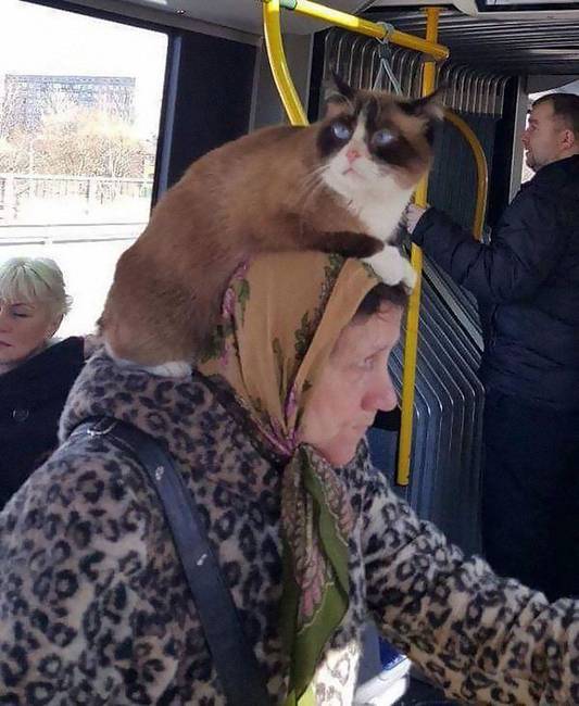 Egy ilyen kalapban télen sem lehet fázni.