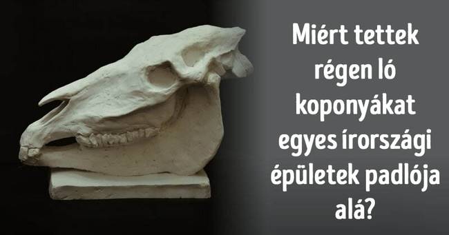 Intelligens kérdések