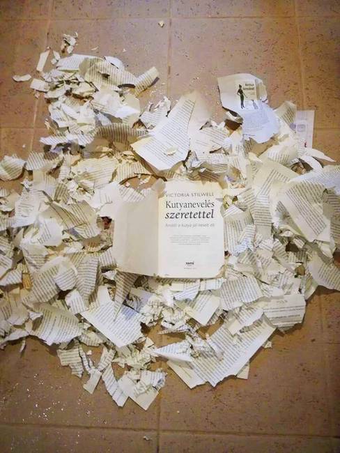 Spoiler: nem működik.