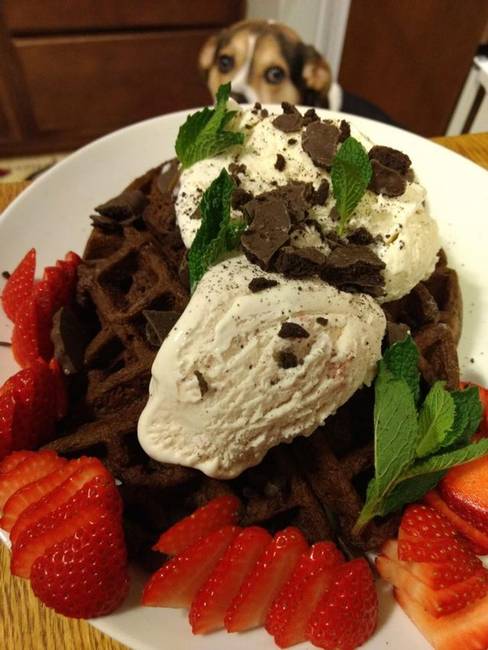 A gofrisütő segít a csokoládétorta elkészítésében.
