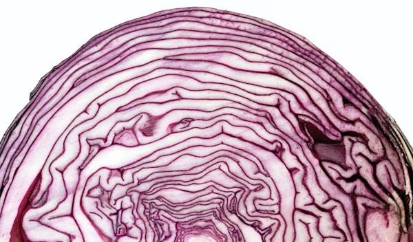 Vörös káposzta