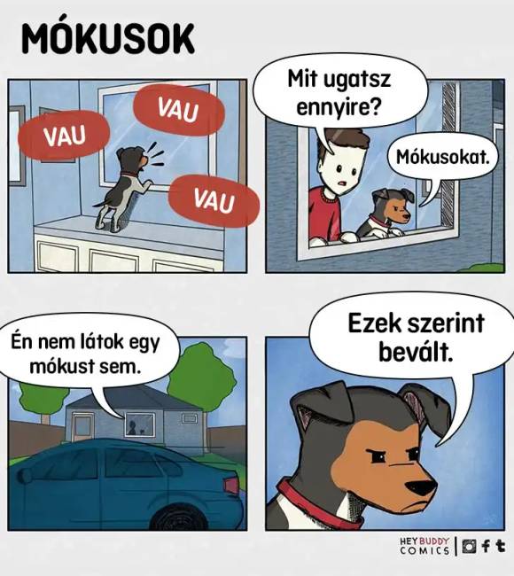Mókusok