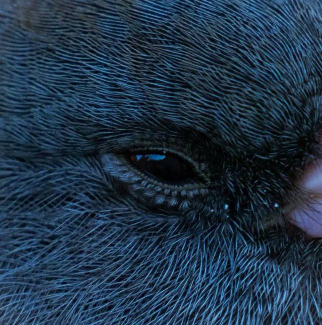 17 lenyűgöző fotó, amik sok új dolgot nyitnak meg előtted, és jelentősen kibővítik a látókörödet