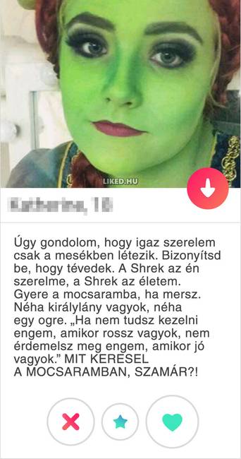 Shrek mania