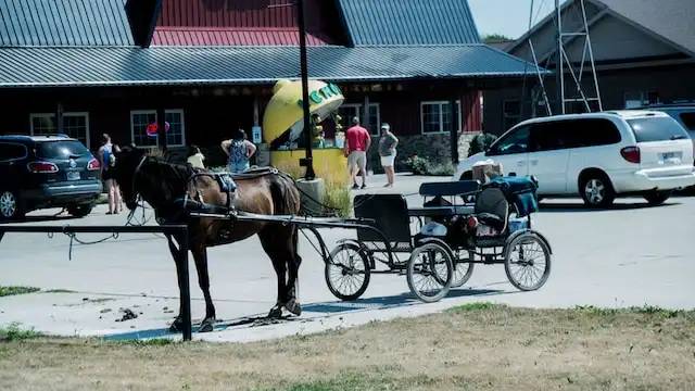 amish tények 014