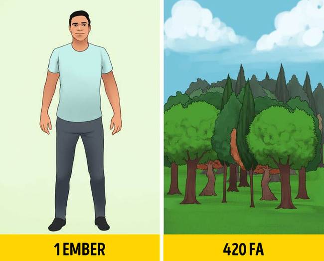Bolygónk minden emberére 420 fa jut