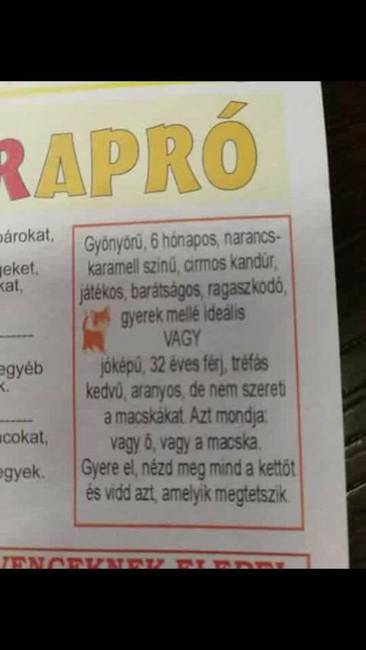 Apróhirdetés egy újságban... :P
