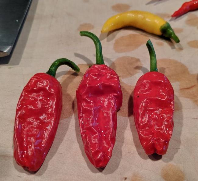 Chili paprika