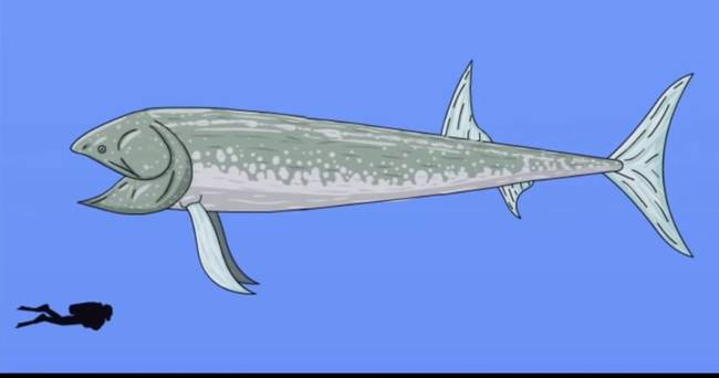 A Leedsichthys 165-152 millió évvel élt ezelőtt a késő jura korban. A Leedsichthys egy óriási hal volt, amely mellett a tenger többi állatai törpéknek tüntek.