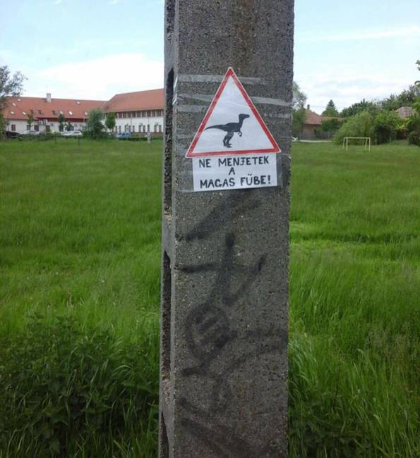 Abony veszélyes hely.
