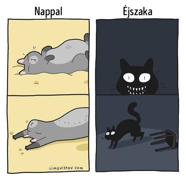 Ezzel meg kell tanulni együttélni.