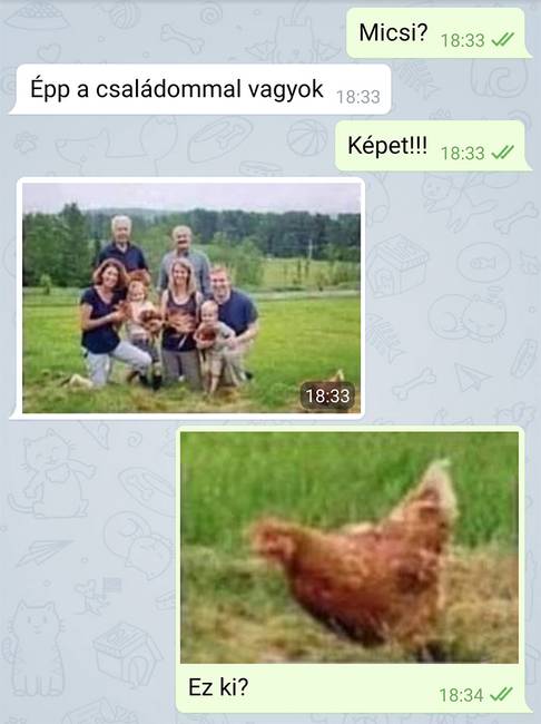 15 ember, akinek a szarkazmusa veszélyesebb, mint bármilyen tömegpusztító fegyver