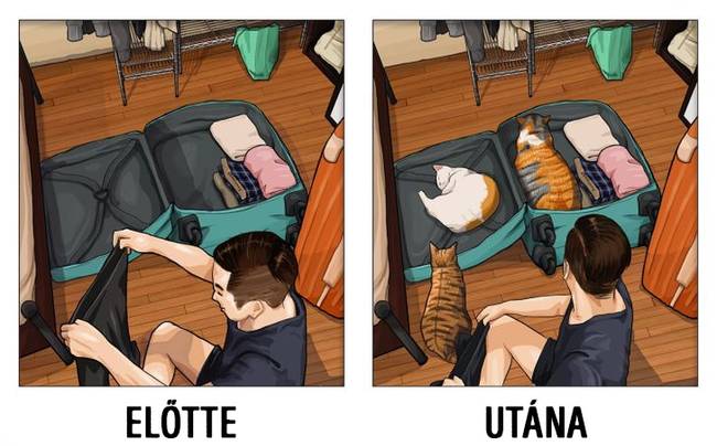 12 őszinte képregény, ami megmutatja, hogyan változik az élet egy kisállat megjelenésével
