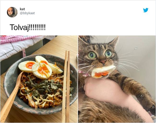Az elkövető nyilvánvalóan nem bánja a tettét.
