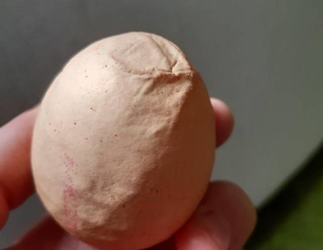 Ez történik, ha nagyon idős tyúk rakja a rojást.