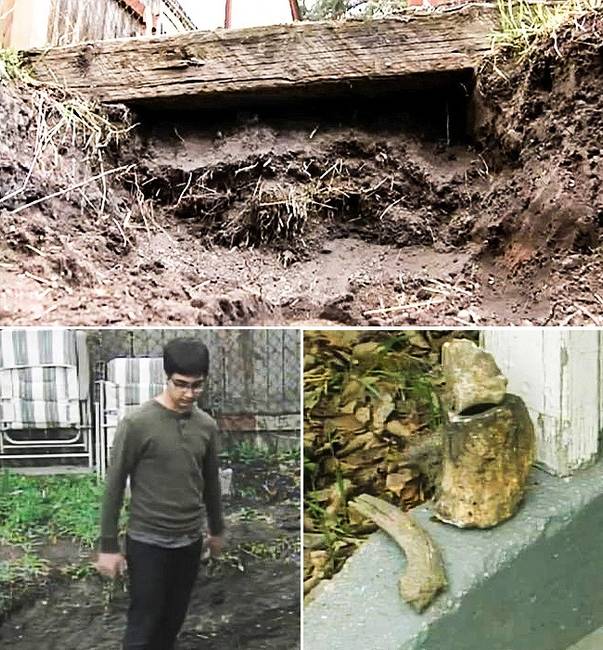 Ezek a mázlista emberek 10 olyan dolgot találtak a kertjükben, amitől az egész életük megváltozott