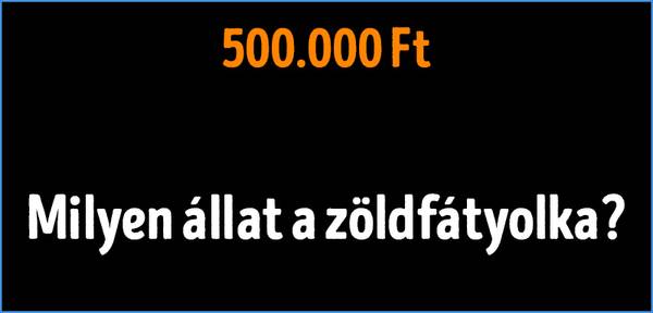 Legyen ön is milliomos kvíz