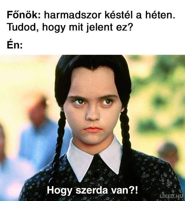 20 vicces mém a főnökökről, amit jobb, ha nem a munkahelyeden nézel meg