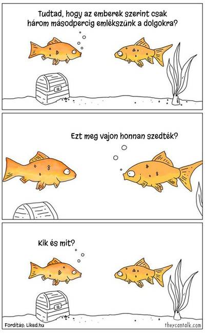 18 képregény, ami segít tisztázni az állatok félreértett gondolkodását