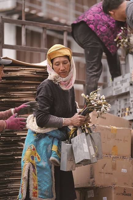 Tibeti nő tápegységeket cipel a bitcoin bányászathoz.
