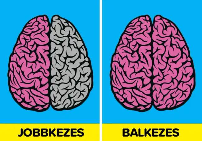 Balkezes emberek tények 018