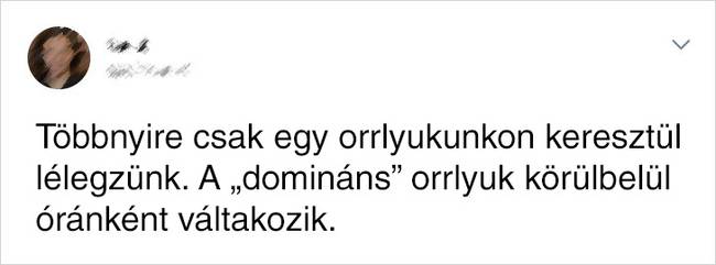 Orrlyukon Keresztül Lélegzés