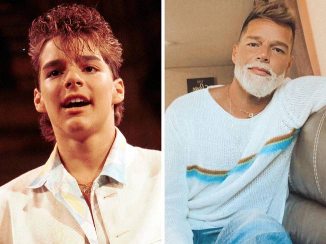 Ricky Martin portréja