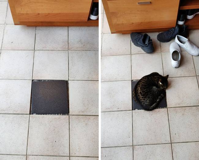 A macskák megmentenek minket a fekete lyukaktól.