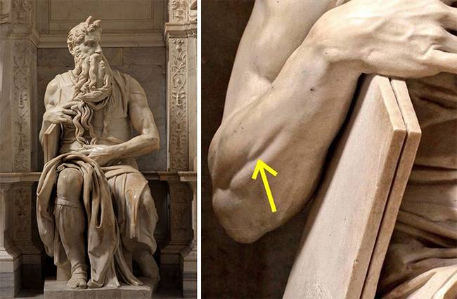 Michelangelo márvány Mózes-szobra, és annak hihetetlen részletessége. A szobor elkészítése több évet vett igénybe, ami nem is csoda, tekintve azt a tényt, hogy a szobor példátlan részletességgel készült: ez a képen látható izom például csak akkor látható, ha valaki kinyújtja a mutatóujját.