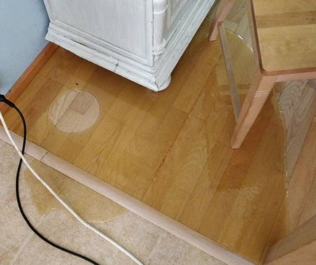 „Anyám méhész, és véletlenül 10 kg mézet öntött a földre."
