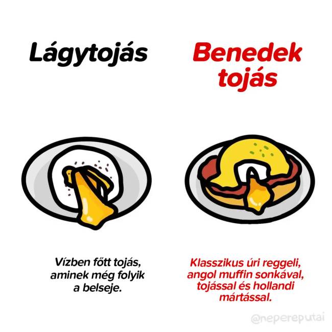 Lágy és benedek tojás